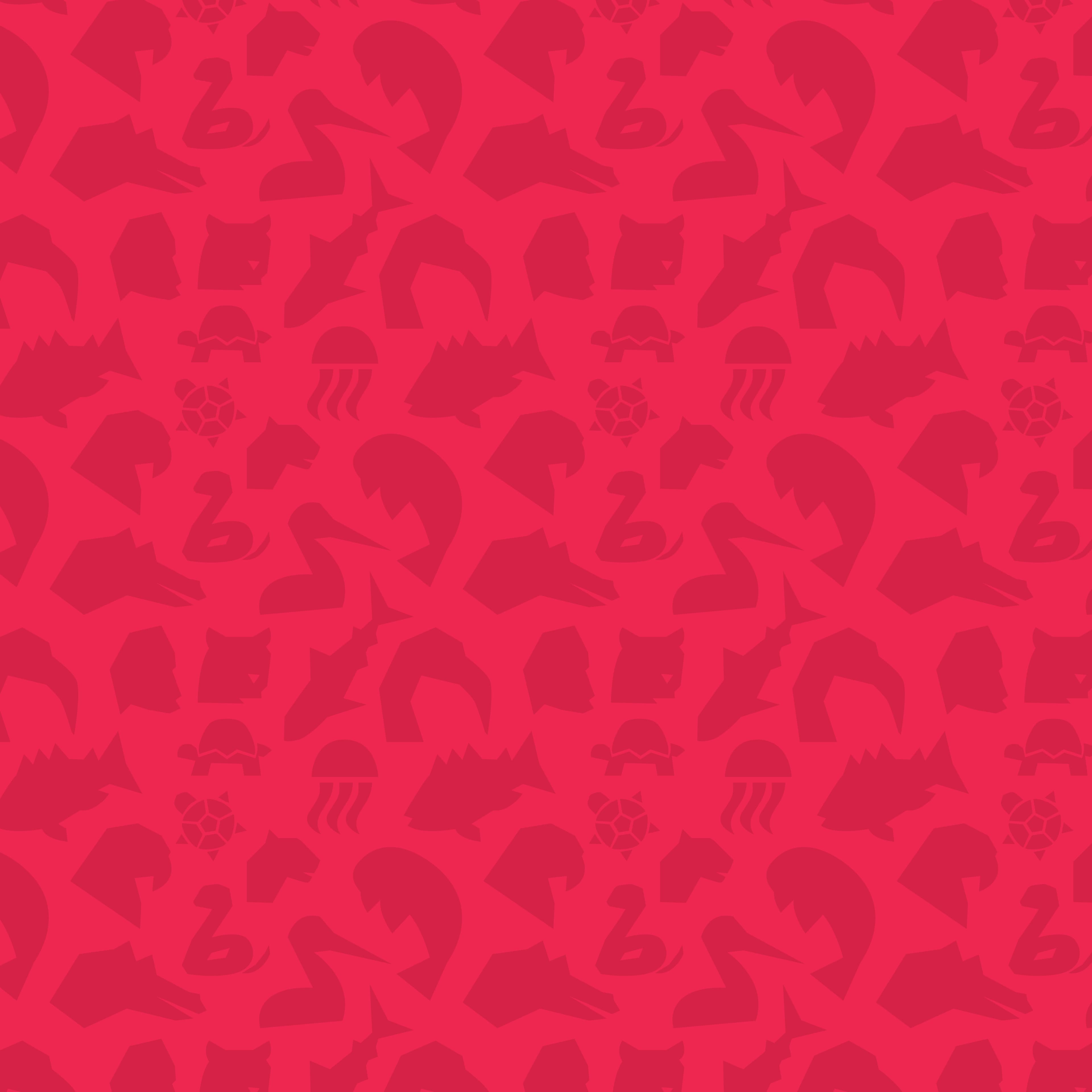 CONSERVATION ZOO — pattern