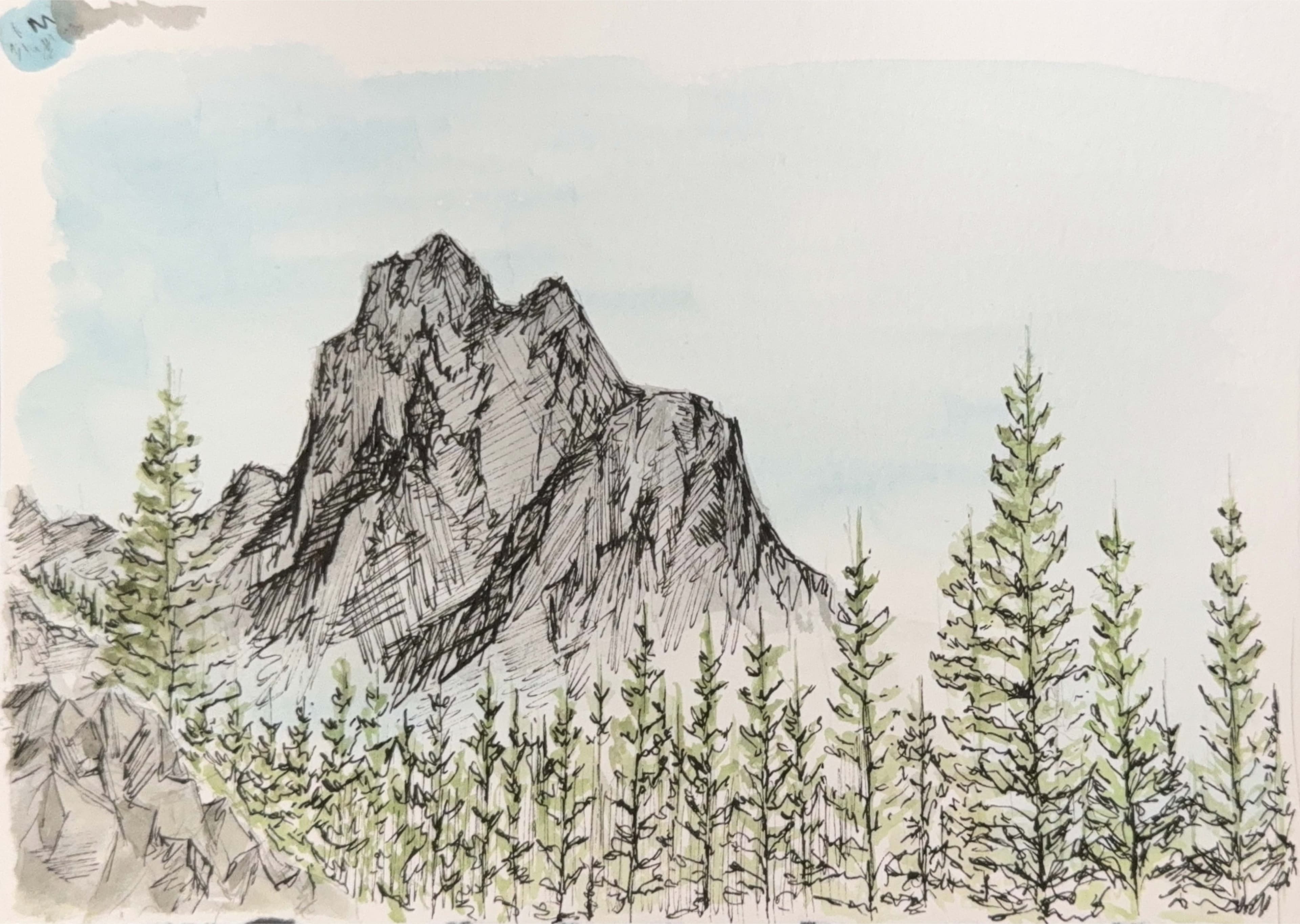 DRAWING — peak ink wash