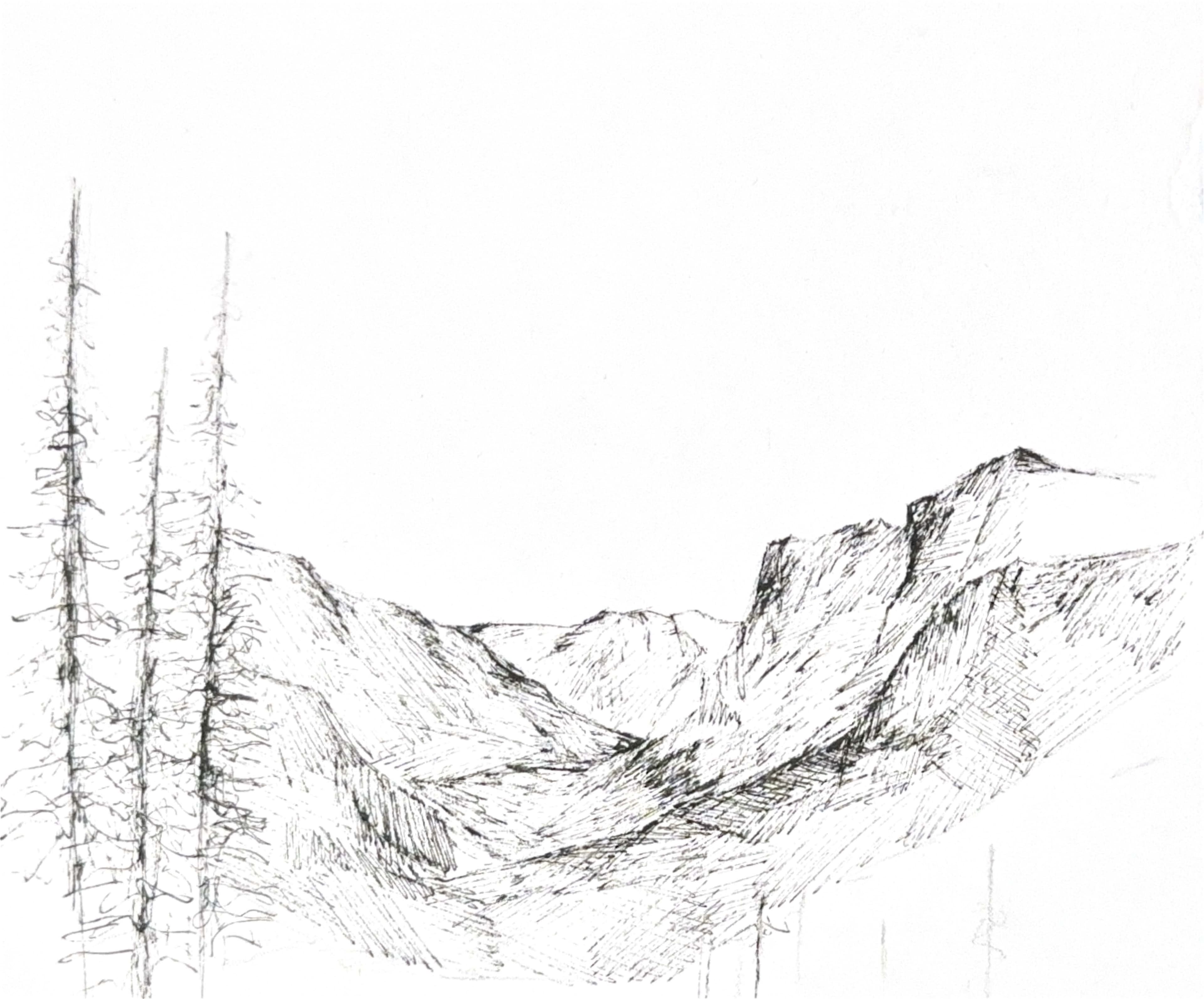 DRAWING — valley ink