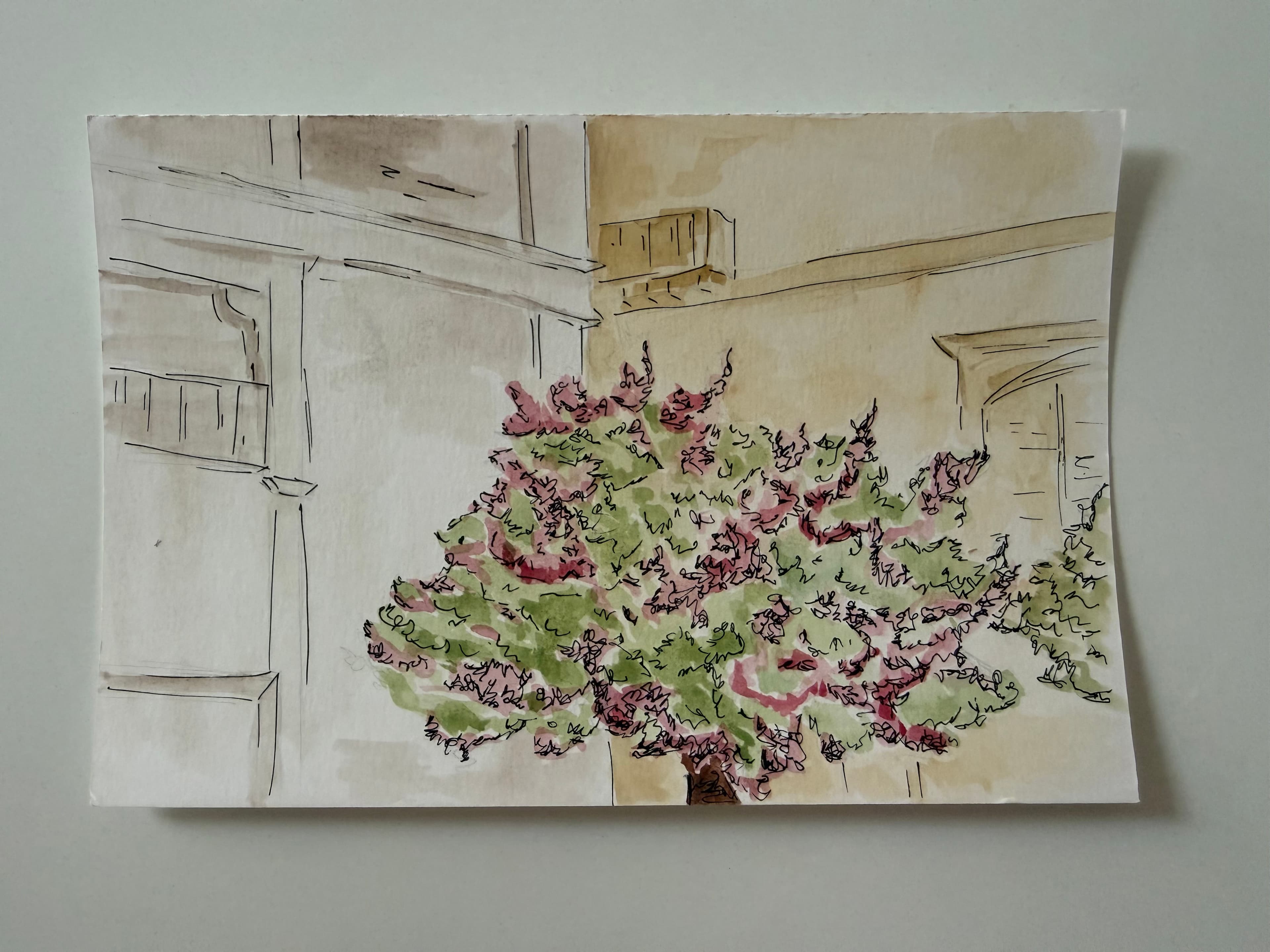 POSTCARDS — land 3